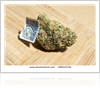 marijuana with stamp